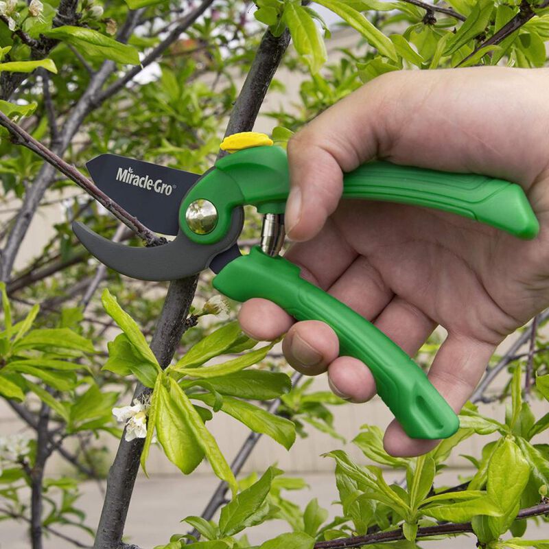 Miracle-Gro® Ultimate Comfort Grip Bypass Gardening Pruner image number null